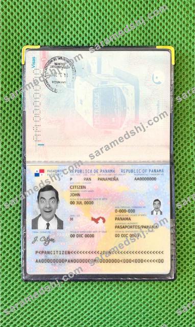 Panama passport photo look